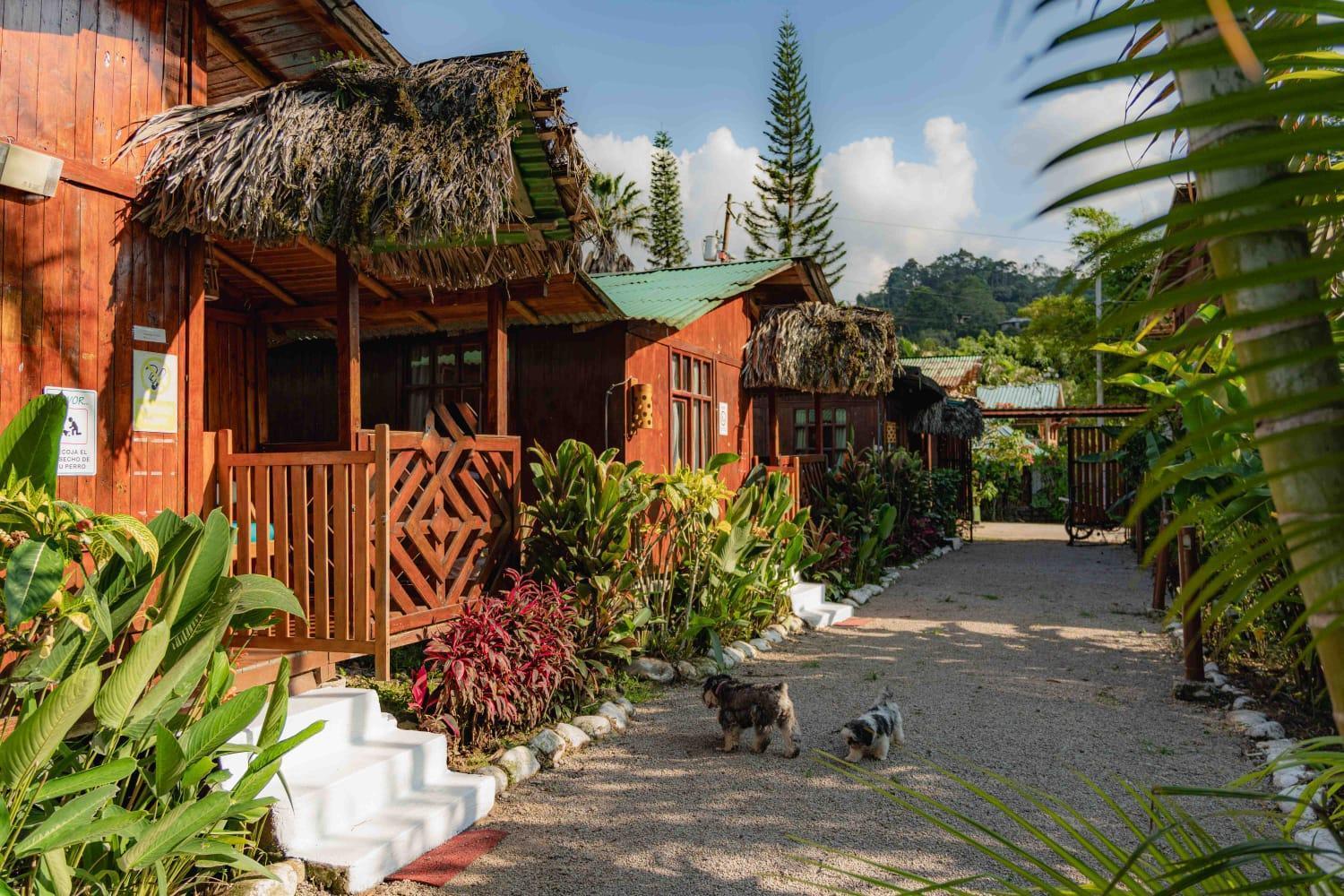 Mindo Glambird Glamping & Lodge Exterior photo